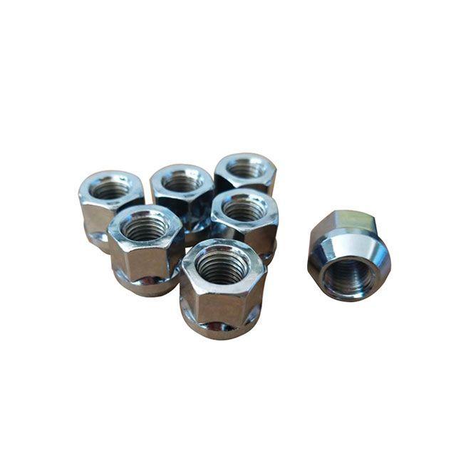 雑誌付き カスタムジャパン ホイールナット 貫通 19h12 P1 5 100個入 Custom Japan その他修理 補修用品 Canipec Org Mx