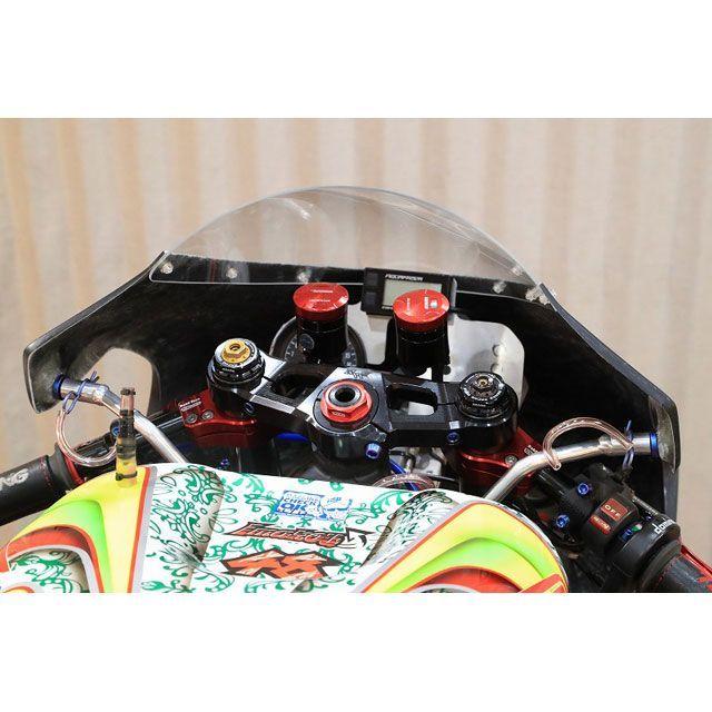 ブランド登録なし - T2一ころ NSR250R 事あたらしい フルカウル TYPE-3 スピード競技印字機 FRP製 黒先だつもの MC21・28 映写幕 黒いこと 犀ドス…