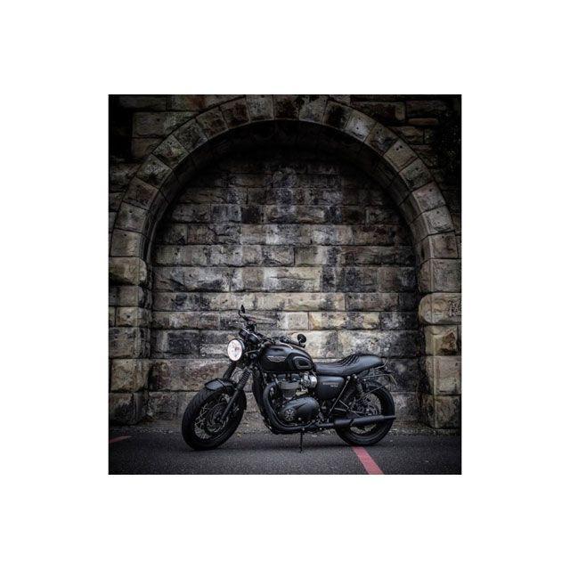 モートーン シート RATTLER カフェスタイル（ブラック） Motone Customs_6