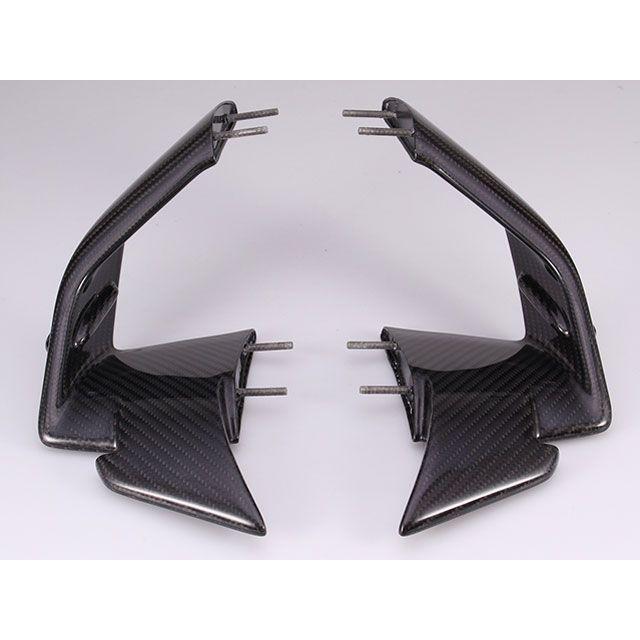 SPEEDRA S1000RR ウイングレット 左右セット ドライカーボン 仕様 綾