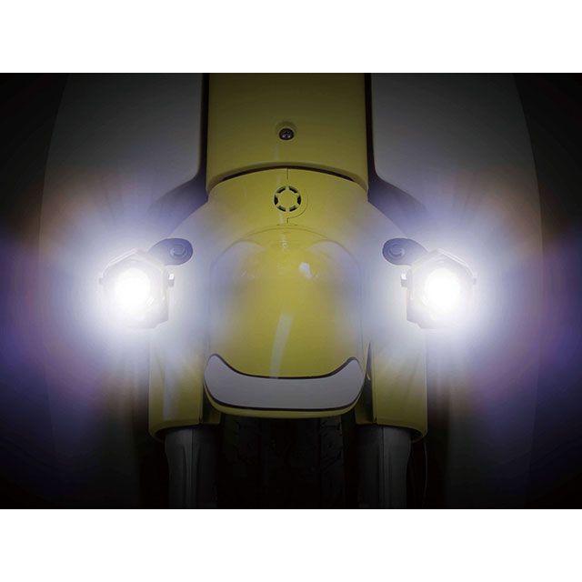 かわの トリックスター / Ninja 1000SX（20-24）政府認証スリップオン