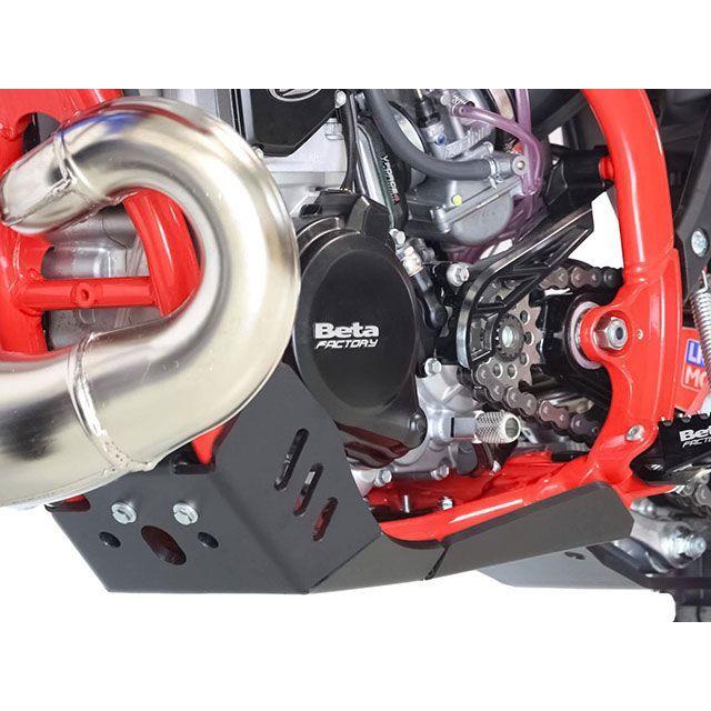 エーエックスピーレーシング RR2T250 RR2T300 XTREME スキッドプレート メーカー在庫あり AXP Racing