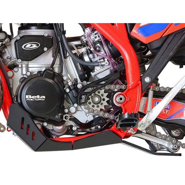 エーエックスピーレーシング RR2T250 RR2T300 XTREME スキッドプレート メーカー在庫あり AXP Racing