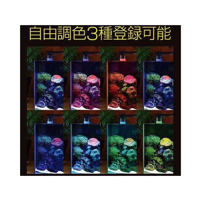 ゼンスイ マルチカラーLEDII 450 zensui : モトメガネ2号店 - 通販