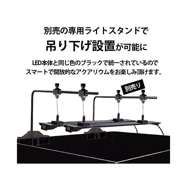 ゼンスイ マルチカラーLEDII 450 zensui : モトメガネ2号店 - 通販
