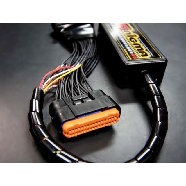 ENIGMA エニグマ type PRTF シグナスＸ　ＢＷ'Ｓ１２５ DILTS JAPAN ディルツジャパン BW'S125（FI） シグナスX（FI