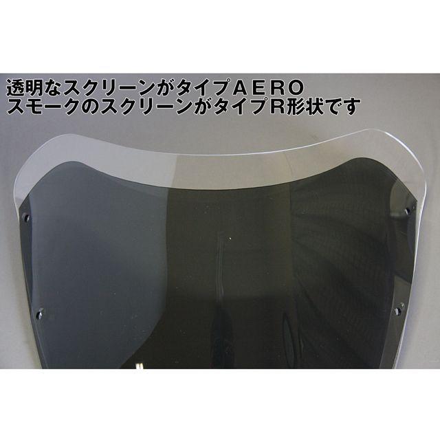ワールドウォーク 汎用ビキニカウル DS-01 typeR（キャンディープラズマブルー） WW_3