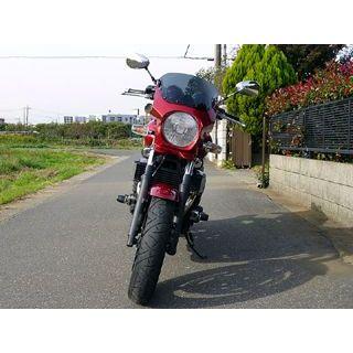 ワールドウォーク SR400 XJR1300 汎用ビキニカウル DS-01 typeR（ディープレッドメタリックk） WW_1