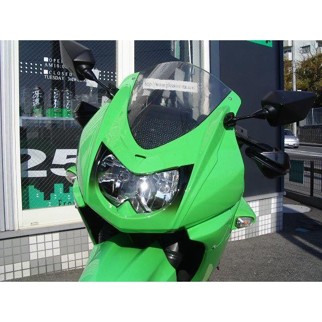 プレジャー Ninja250R フェイスパネル 仕様 Type1 PLEASURE