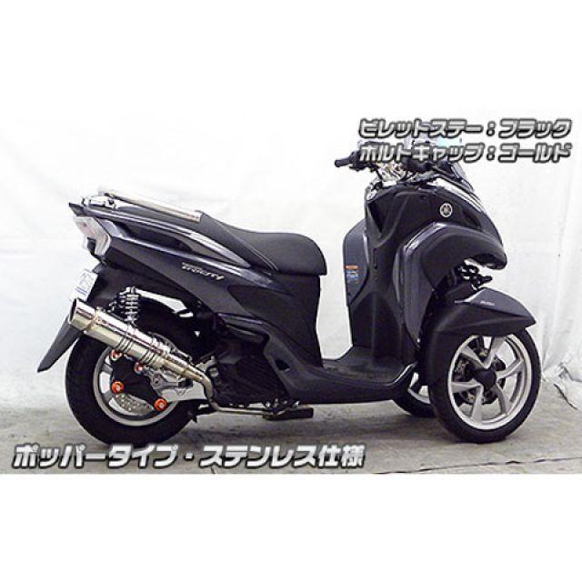 ウイルズウィン トリシティ125 トリシティ125用 アニバーサリー