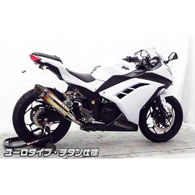 ウイルズウィン Ninja250 Ninja250用 スリップオンマフラー ユーロタイプ サイレンサー チタン仕様 WirusWinの画像