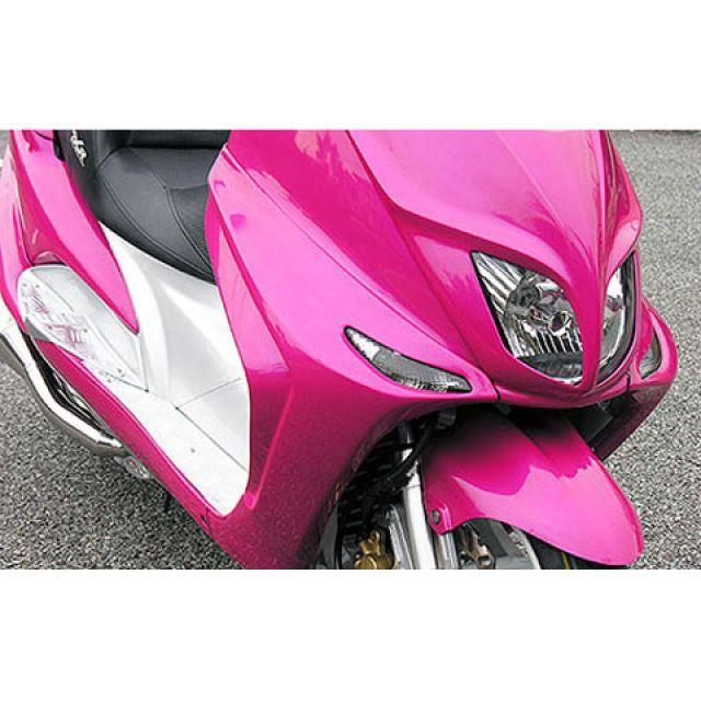 WirusWin（ウイルズウィン） マジェスティ125 マジェスティ125用