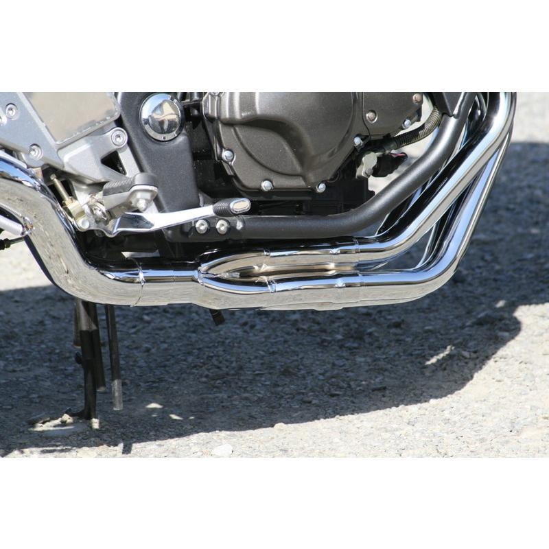 RPM バリオス2/BALIUS-2(ZR250B/00-05)用 RPM 80D-RAPTOR フル