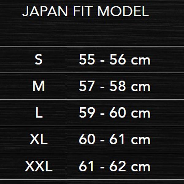 LS2 HELMETS LS2 DRAGON (ドラゴン） カーボン フルフェイスヘルメット