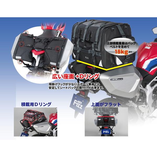タケハナ TANAX（タナックス） カービングシェルケース カーボン柄 MFK-272