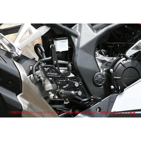 STRIKER（ストライカー） スペシャルステップキット TypeS&R Type2 17