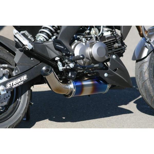 STRIKER ストライカー（STRIKER） パワーミニ 【Z125PRO ステン/チタン 
