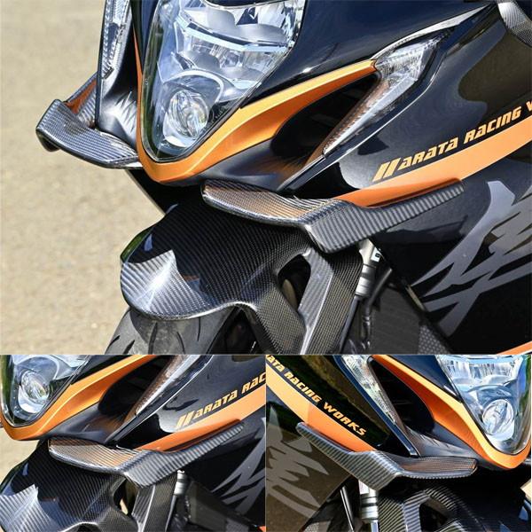 STRIKER（ストライカー） エアロデザイン SAD ウイングレット `22