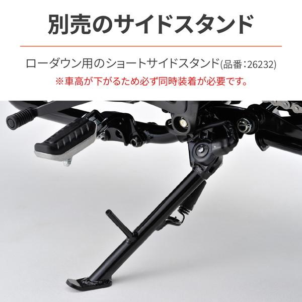 DAYTONA(バイク用品) デイトナ 97903 バイク用 リア DAYTONA(バイク用品) デイトナ 97903 バイク用 リア