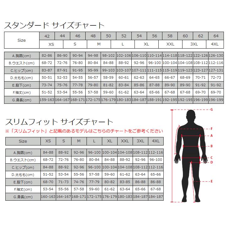 アルパインスターズ（alpinestars） PROTEAN ライディングパンツ