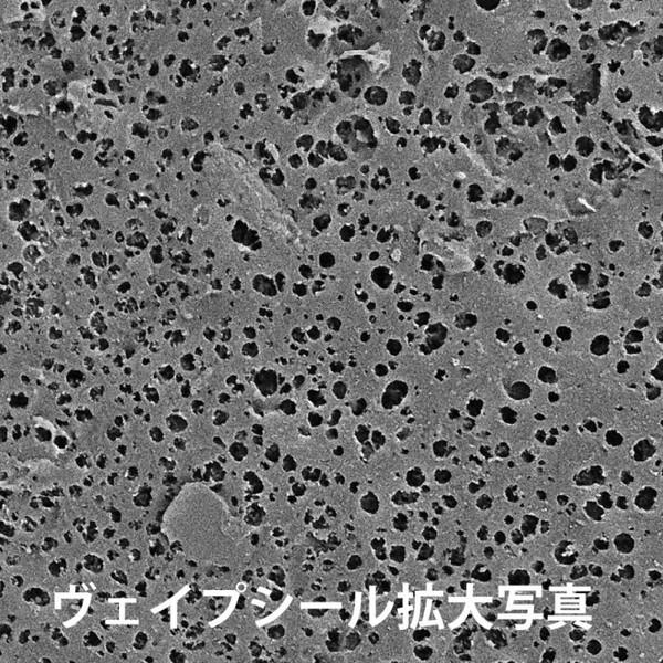 NANKAI（ナンカイ） SDW-4150 気化熱ベスト Vapour (ヴェイパー