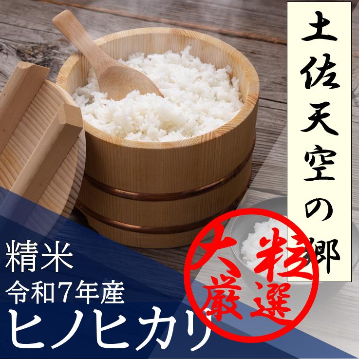 土佐天空の郷 ヒノヒカリ 精米 5kg 令和7年産 高知県産 産地直送 送料無料 ブランド米 特別栽培米 | 