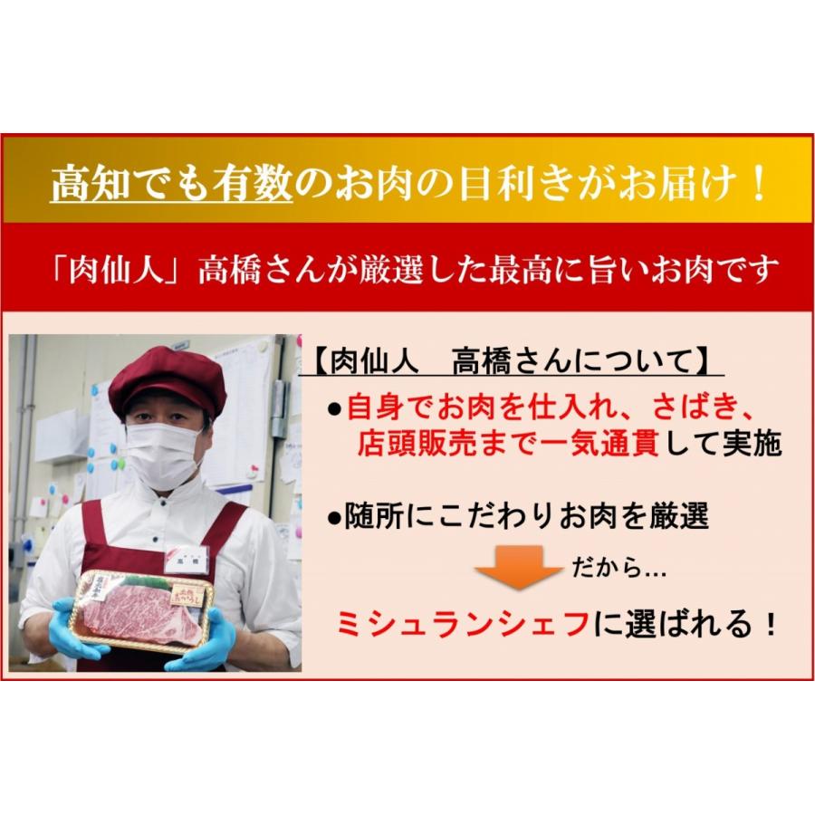 高橋さん厳選！肉のエアーズロック！土佐あかうしモモブロック(ひとかたまり)500g |  | 06