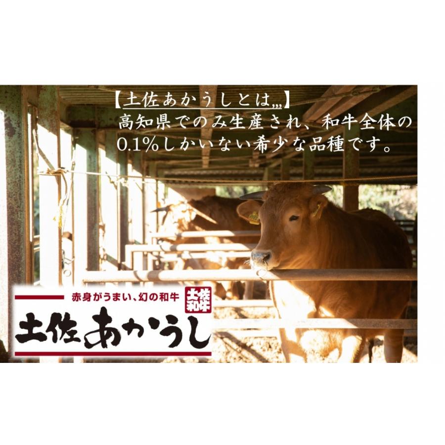 高橋さん厳選！土佐あかうしモモステーキ600g |  | 01