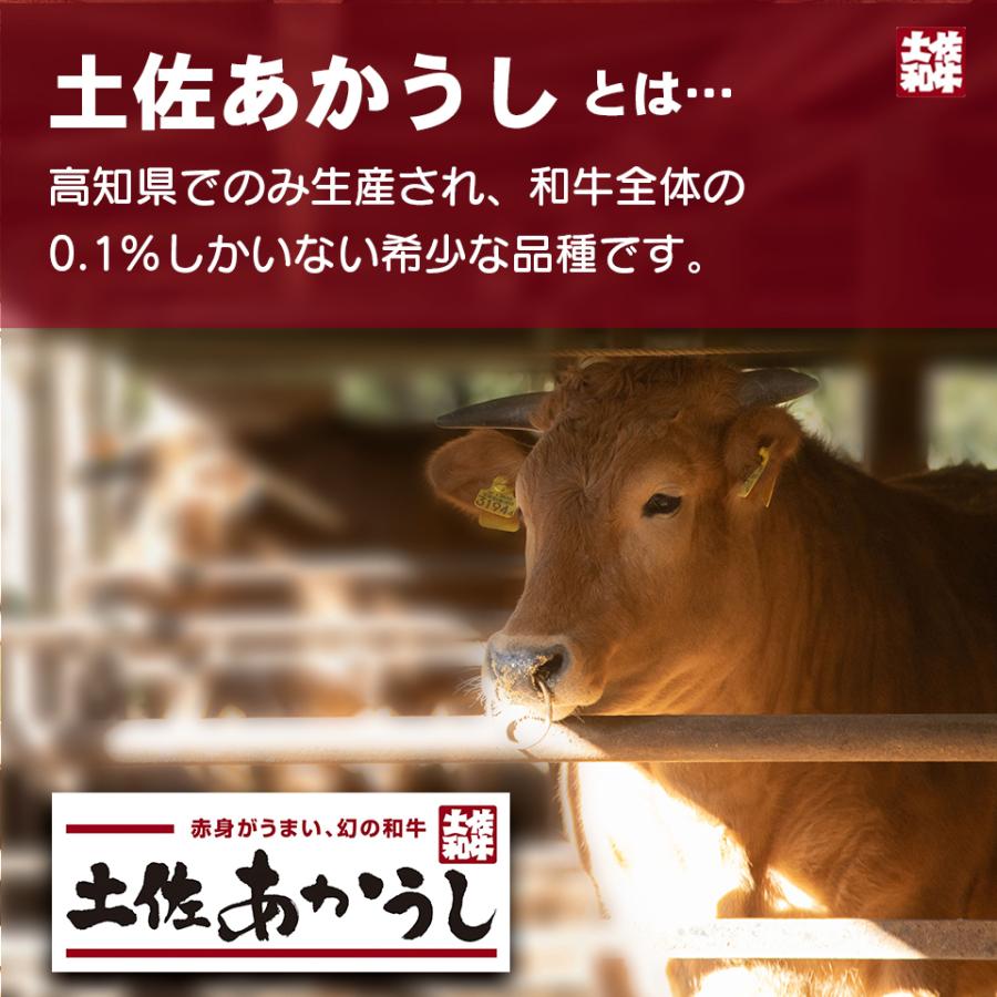 土佐あかうしサーロインステーキ400g |  | 01