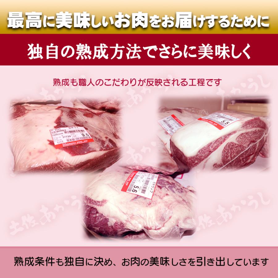 土佐あかうしサーロインステーキ400g |  | 05