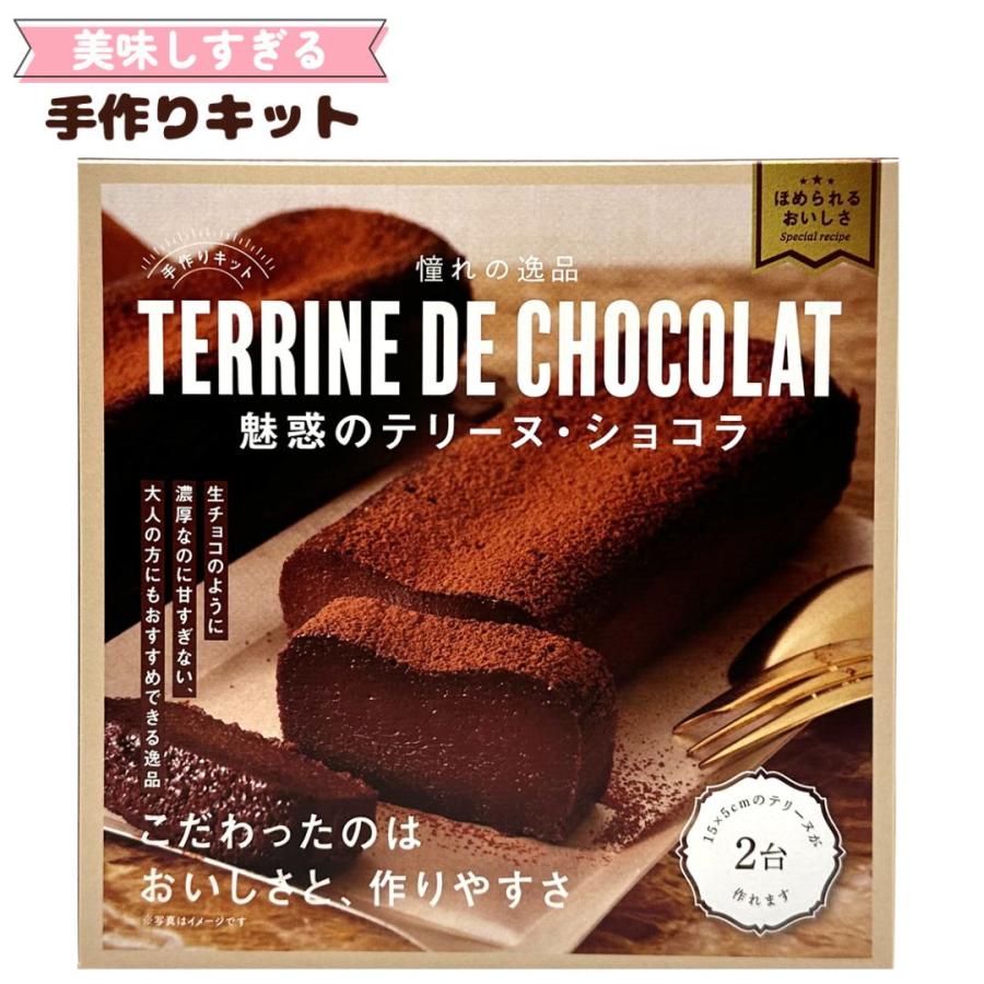 お菓子 バレンタイン 手作りキット テリーヌショコラ 子供 小学生