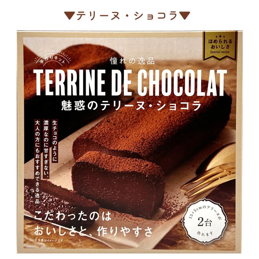 お菓子作り  チョコレート 型 在庫用  バレンタイン 1 お菓子 バレンタイン 手作りキット テリーヌショコラ 子供 小学生
