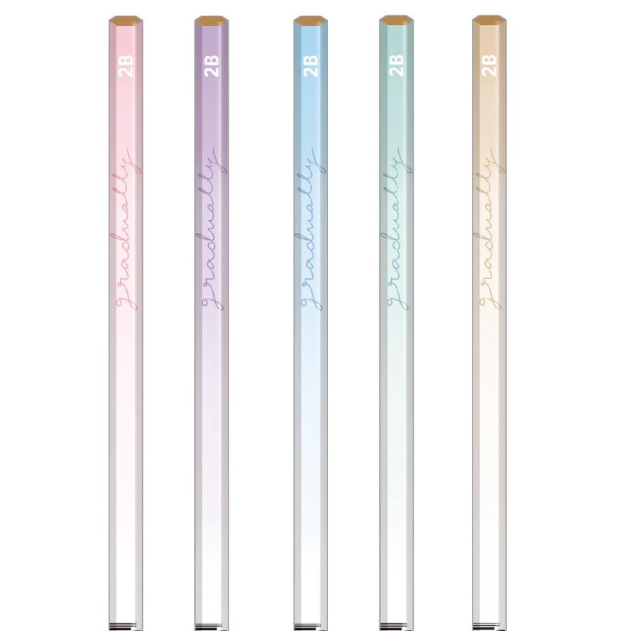 ダース鉛筆 かわいい 小学生 シンプル かきかた鉛筆 2B 赤 セット おしゃれ 女の子 子供 こども 文房具 文具 可愛い 筆記具 ダース 12本 子供 小学校 かわいい文 |  | 03