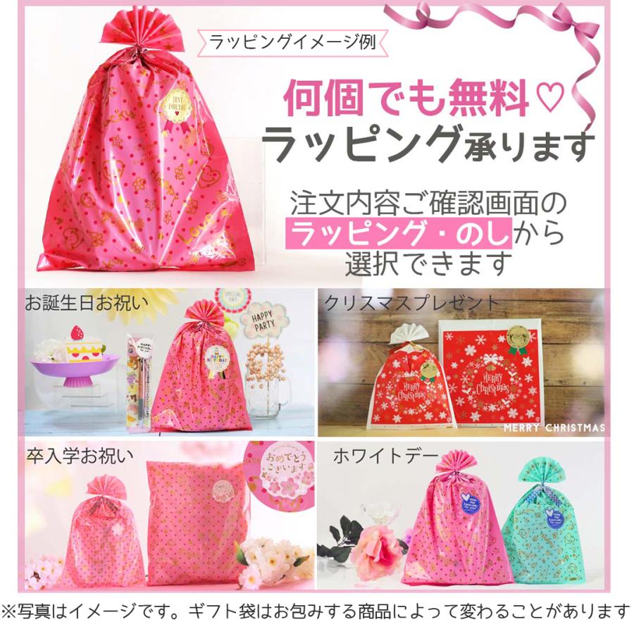 鉛筆 小学生 女の子 2B リボン 6本セット かわいい 文房具 鉛筆セット 文具セット えんぴつ 低学年 高学年 パール かわいい文房具 筆記具 子供 文具 女子 子供会 |  | 07