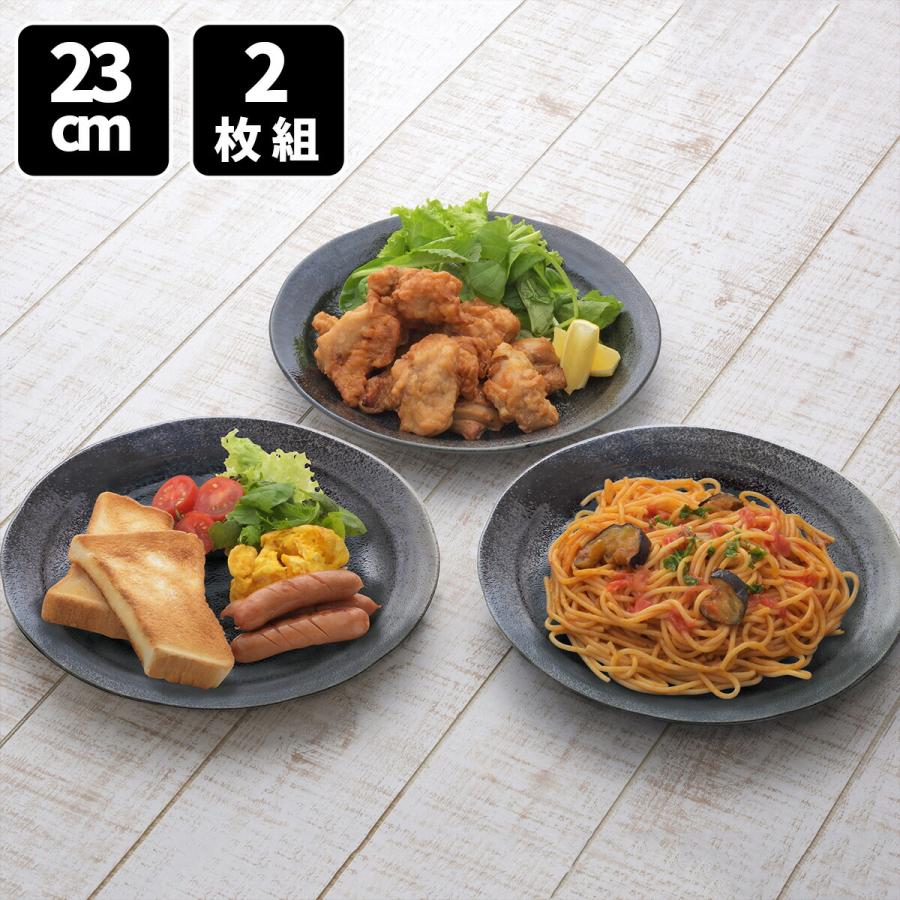 食器 黒 お皿 美濃焼 料理が映える黒の器 23cm プレート 2枚組 平皿