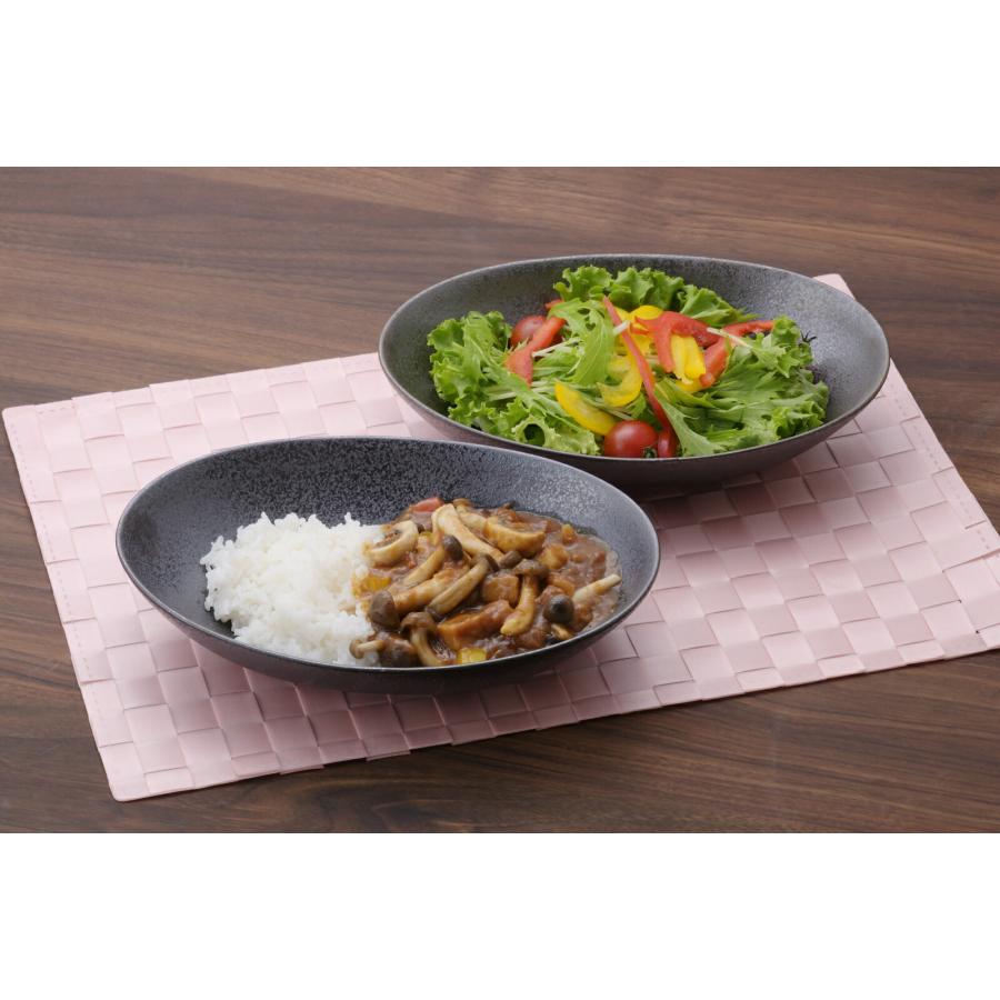 カレー皿 楕円 黒 カフェスタイル オーバル 2枚組 食器 器 深皿 パスタ