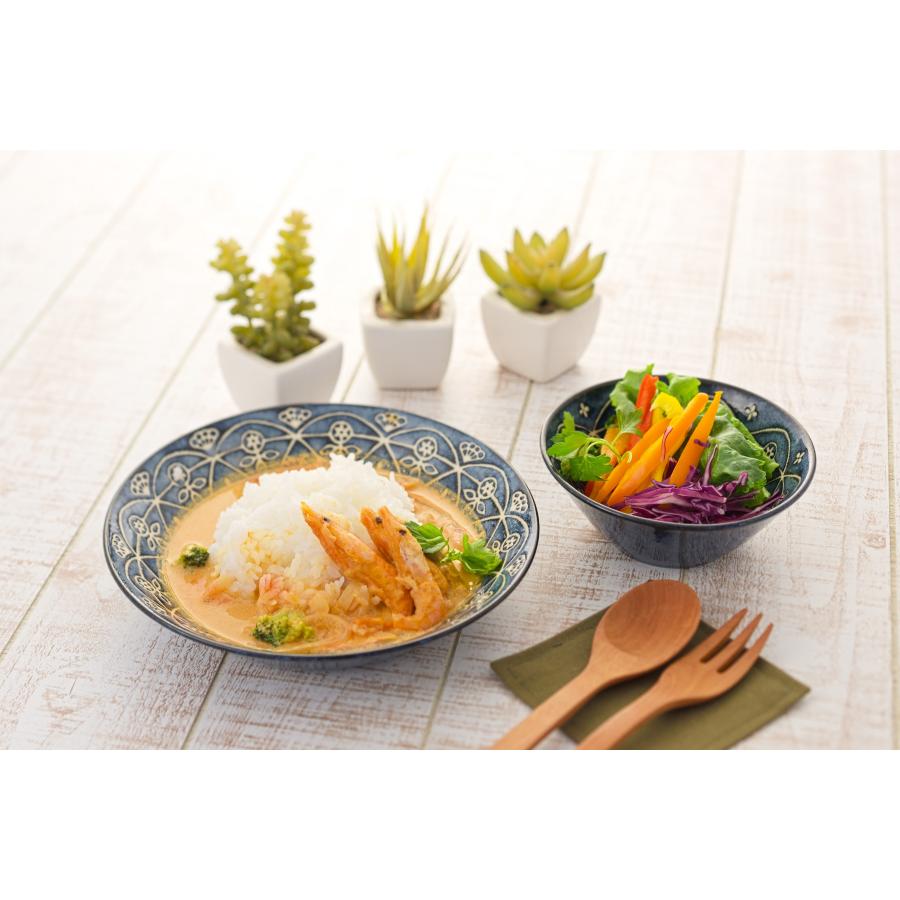 モロッカン カレー＆パスタ皿 1枚 パスタ皿 カレー皿 単品 1人暮らし 食器 器 取皿 盛り皿 ボウル かわいい シチューボウル カフェ風 電子レンジ対応 日本製 |  | 04