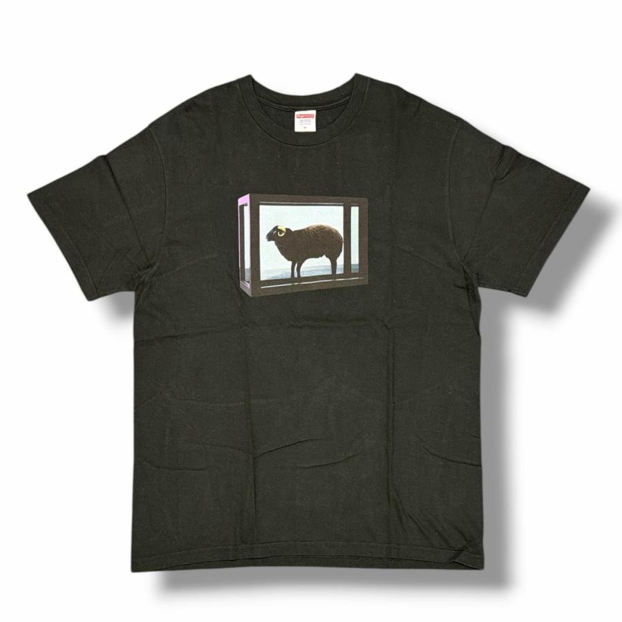 Supreme（シュプリーム） 25SS Damien Hirst Tee ダミアンハースト T 
