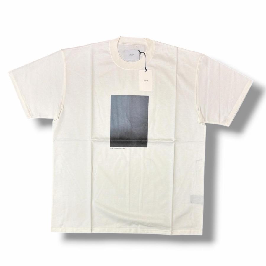 未使用品 stein(ssstein) シュタイン PRINT TEE(SUPERIOR PIMA