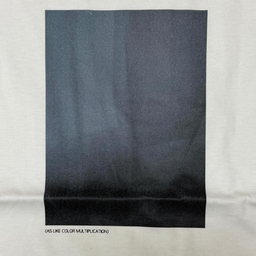 未使用品 stein(ssstein) シュタイン PRINT TEE(SUPERIOR PIMA