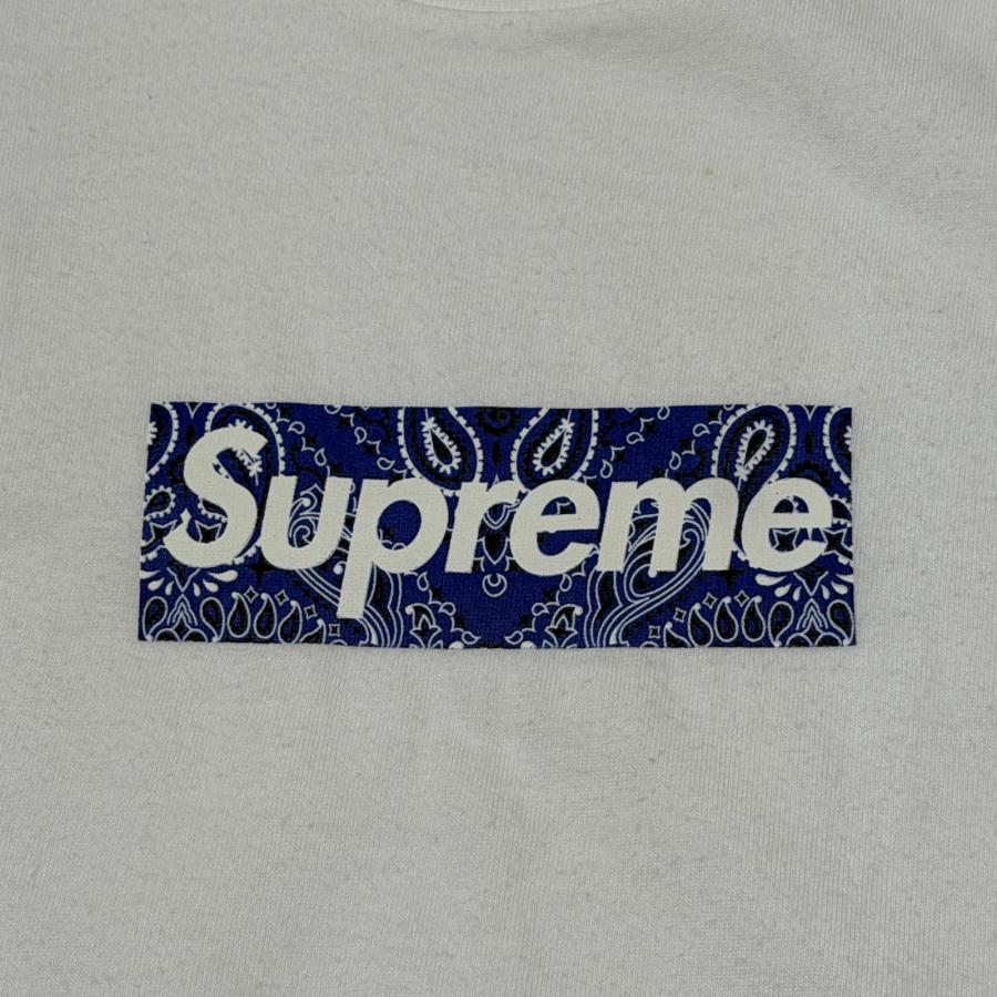 Supreme（シュプリーム） 19AW Bandana Box Logo Tee バンダナ