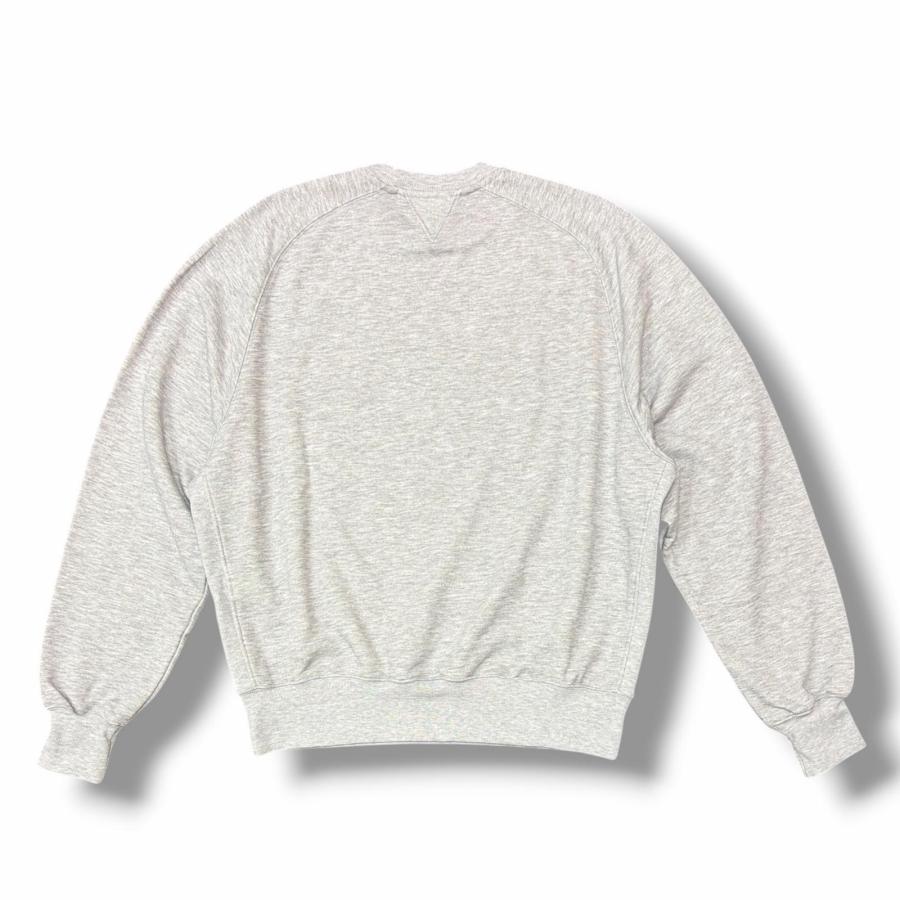 DAIWA PIER39 ダイワピアサーティナイン TECH SWEAT CREW FREEDOM 