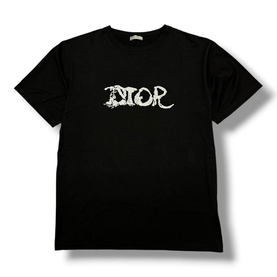 Dior × Peter Doig ディオール ピーター・ドイグ 21AW Oversize T 