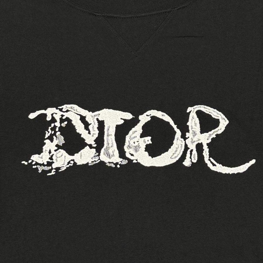 Dior × Peter Doig ディオール ピーター・ドイグ 21AW Oversize T