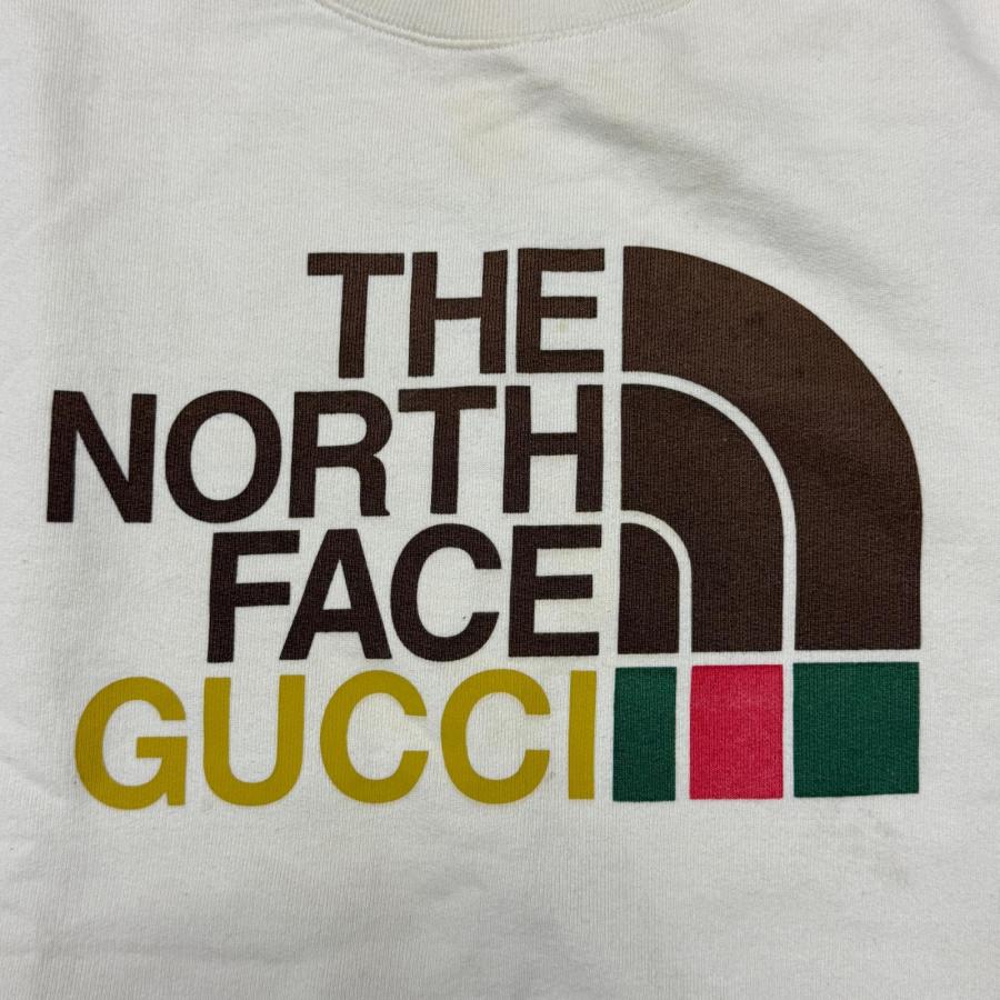 GUCCI（グッチ） 国内正規 × THE NORTH FACE コラボ プリント