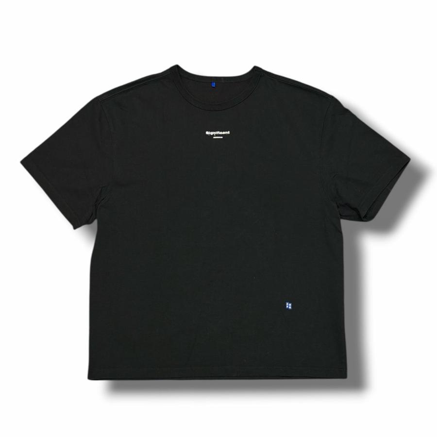 ADER ERROR アーダーエラー significant 半袖 Tシャツ ADER error アーダーエラー Significant Limited T-Shirt スィグニフィ
