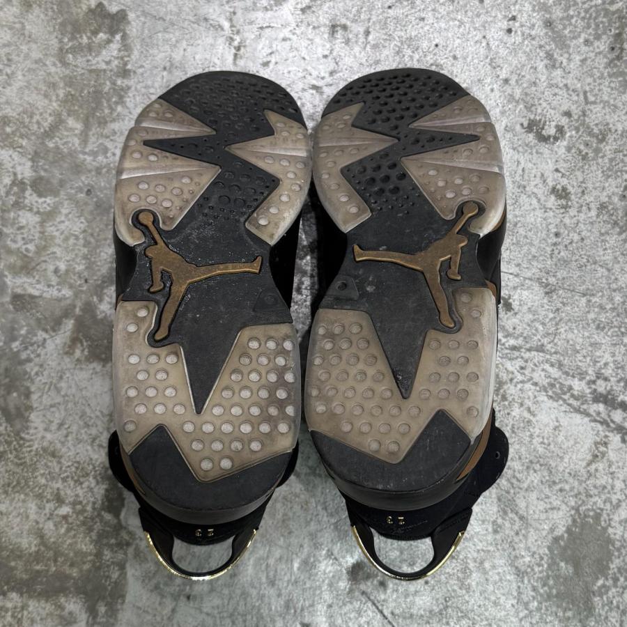 NIKE（ナイキ） NIKE Air Jordan 6 DMP エアジョーダン6 CT4954-007
