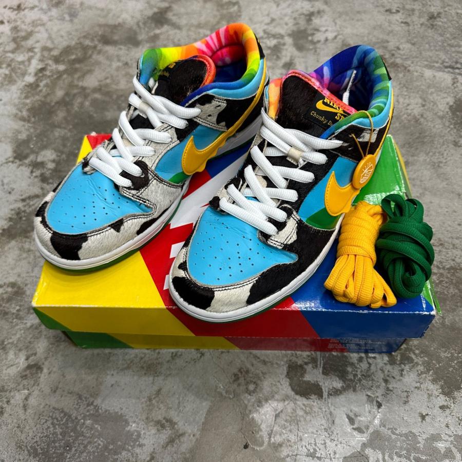 NIKE SB ナイキ スニーカー 27.5 cm 希少レア品　中古 Nike SB NIKE × BEN & JERRY'S ナイキエスビー ジュリーアンドベン
