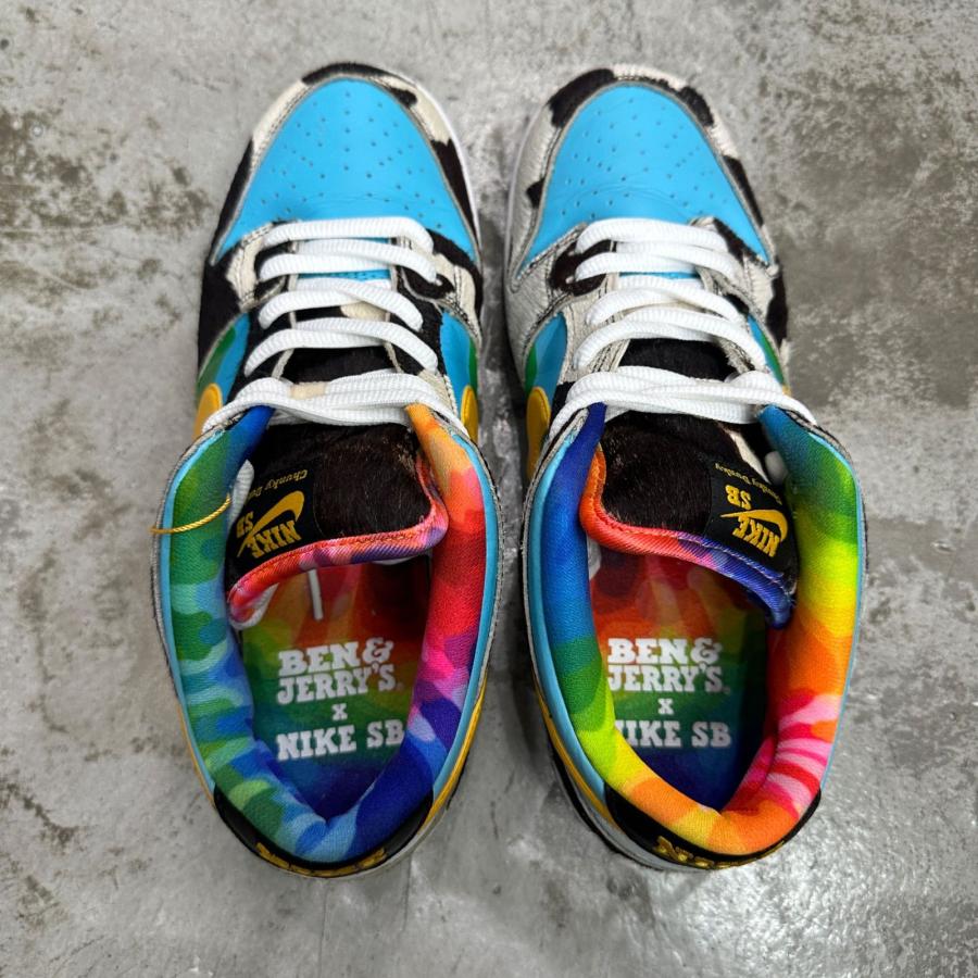 Nike SB NIKE × BEN & JERRY'S ナイキエスビー ジュリーアンドベン