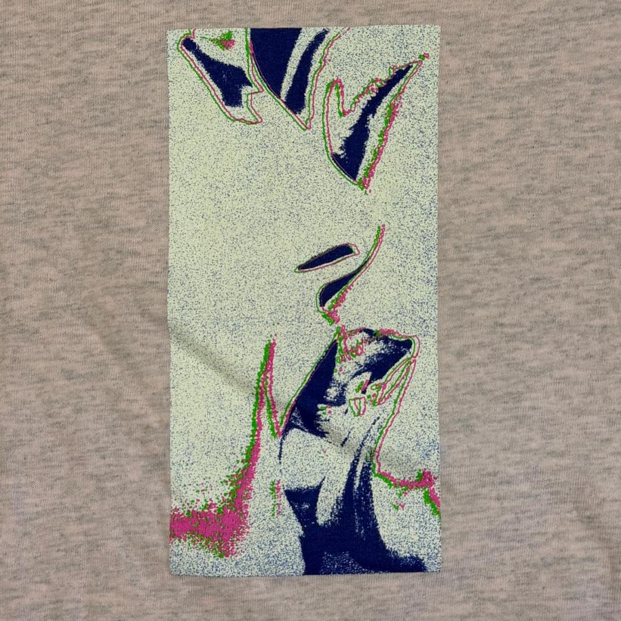Supreme（シュプリーム） My Bloody Valentine Glider Tee マイ 
